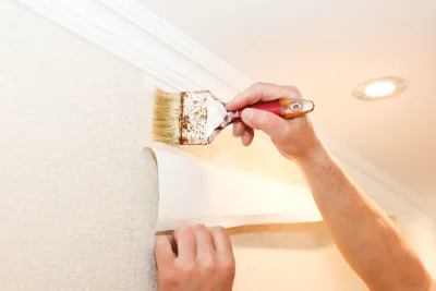 Pose de papier peint à Valz-sous-Châteauneuf — revêtements muraux et toiles de verre